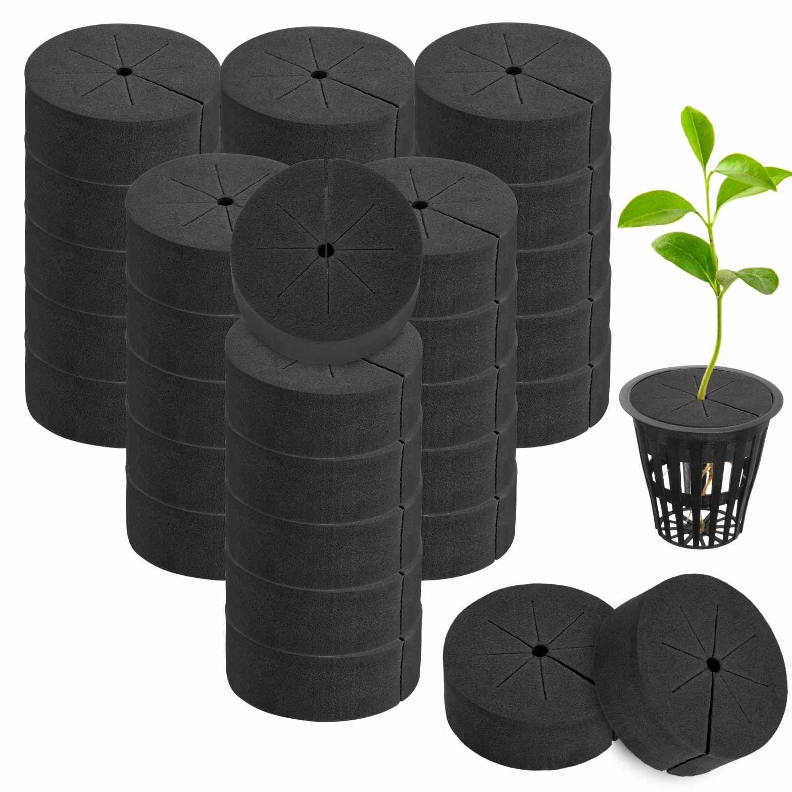 M METERXITY 30-Pack Colliers De Clonage Inserts Hydroponique Éponges DIY pour Pots À Filet De 2" Noir
