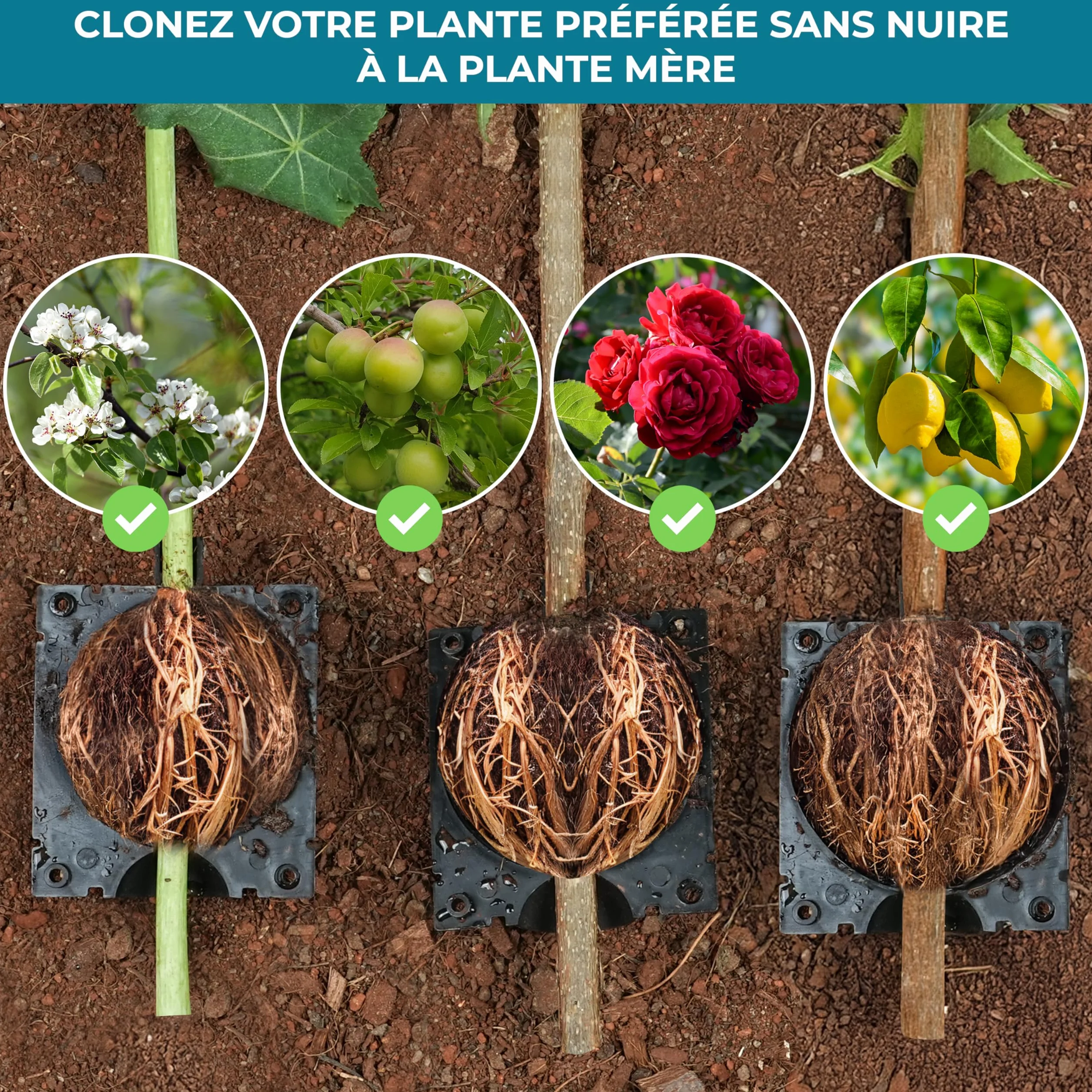 Kit de Marcottage Aérien Lot de 10 - Boule de Bouturage Haute Pression avec Colliers de Serrage pour Clonage Arbres Plantes