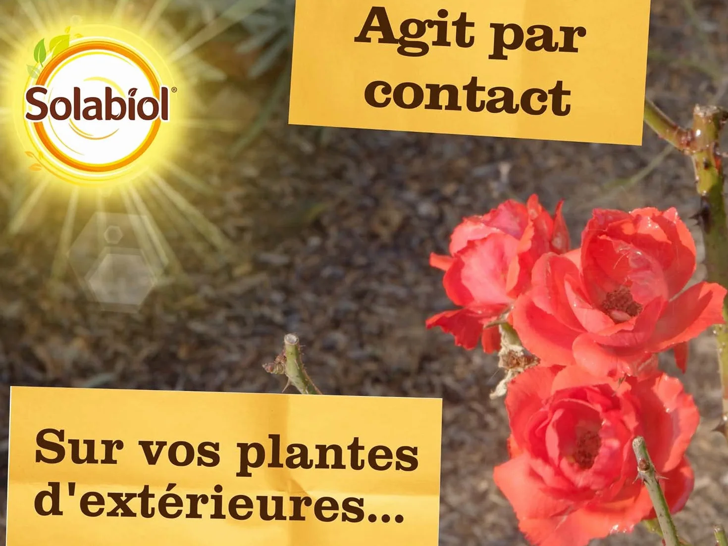 SOLABIOL Anti Pucerons Pulvérisateur 750ml Prêt À L'emploi Action Rapide
