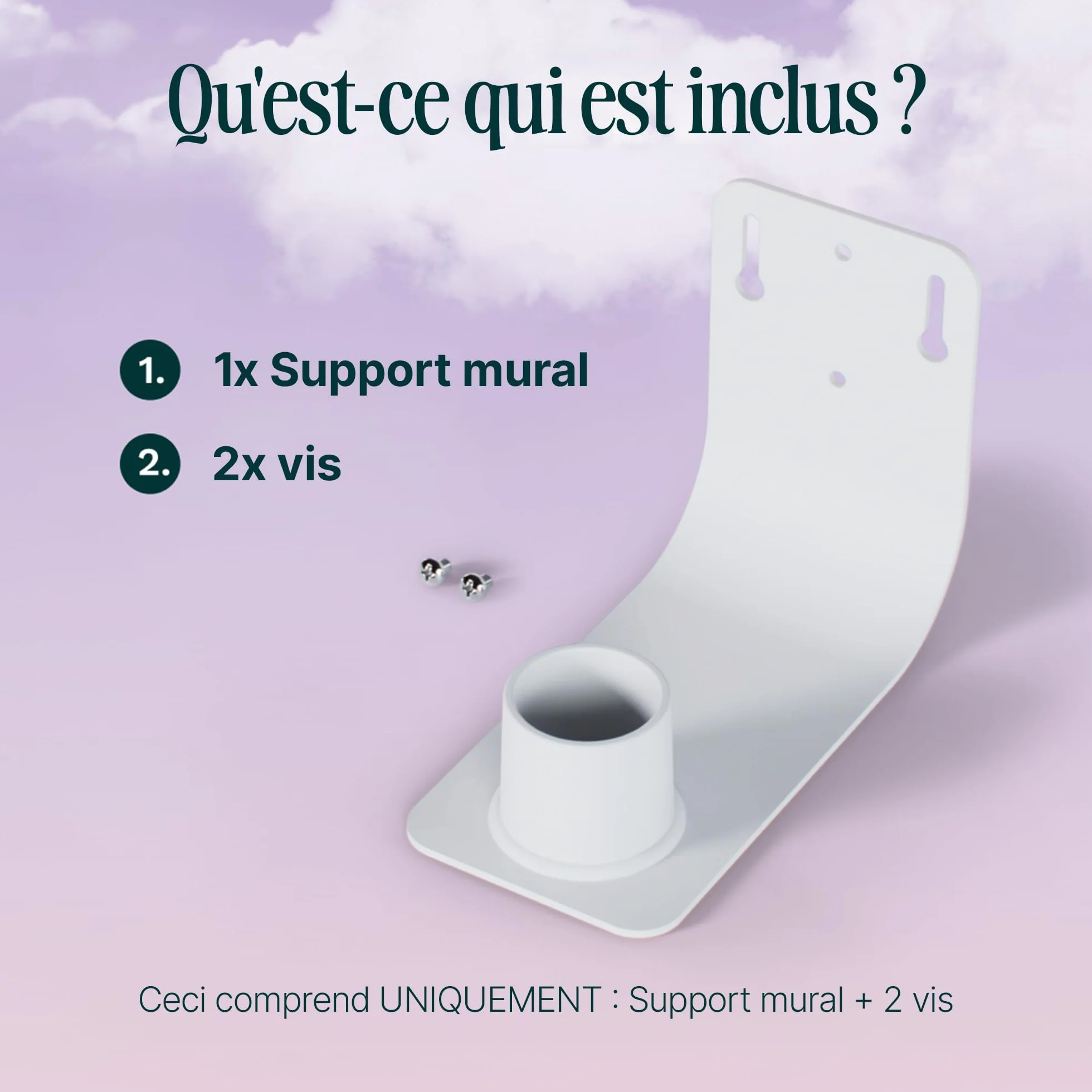 Birdbuddy Support Mural pour mangeoire à oiseaux - Accessoire mural robuste et résistant aux intempéries