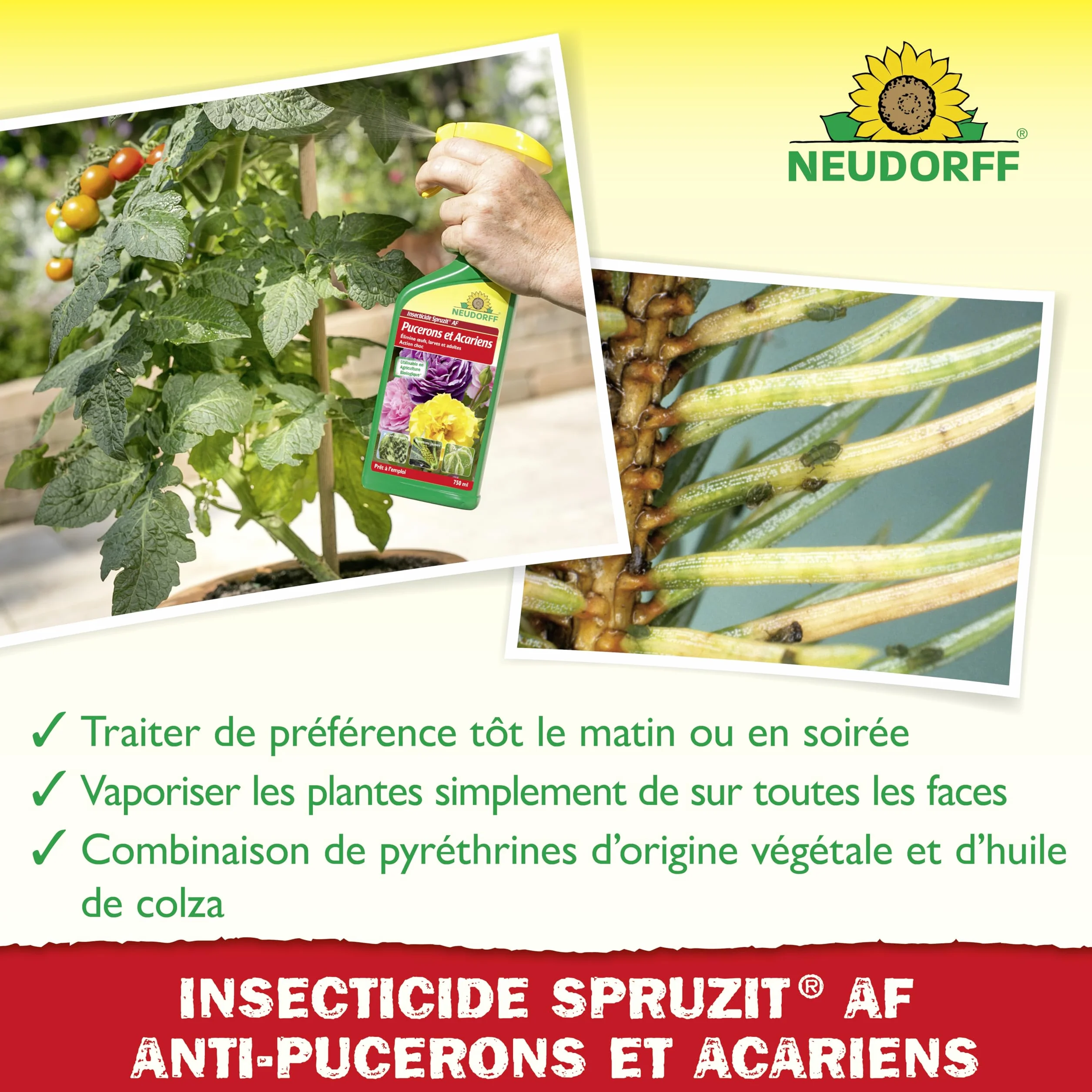 Neudorff Spruzit AF Pucerons et Acariens Insecticide 750 ml