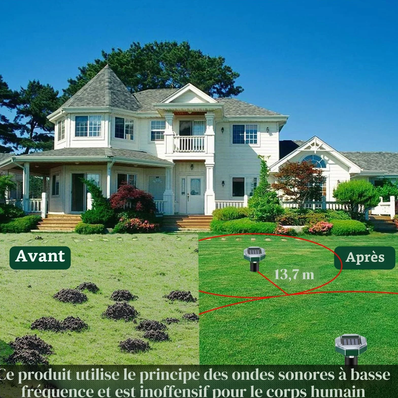 Répulsif Taupe Solaire à Ultrason RosyFate Lot de 4 Anti Taupe IP65 Imperméable