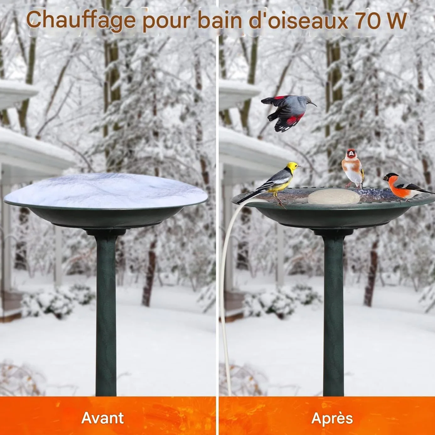 Réchauffeur De Bain d'oiseaux pour L'Extérieur, Chauffage pour Bassin À Oiseaux Dégivreur - Étang Fontaine Jardin