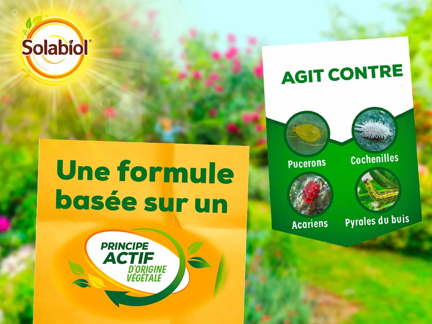SOLABIOL Insecticide Anti Cochenilles Pucerons Acariens Pyrale Buis 750ml Prêt à l'Emploi