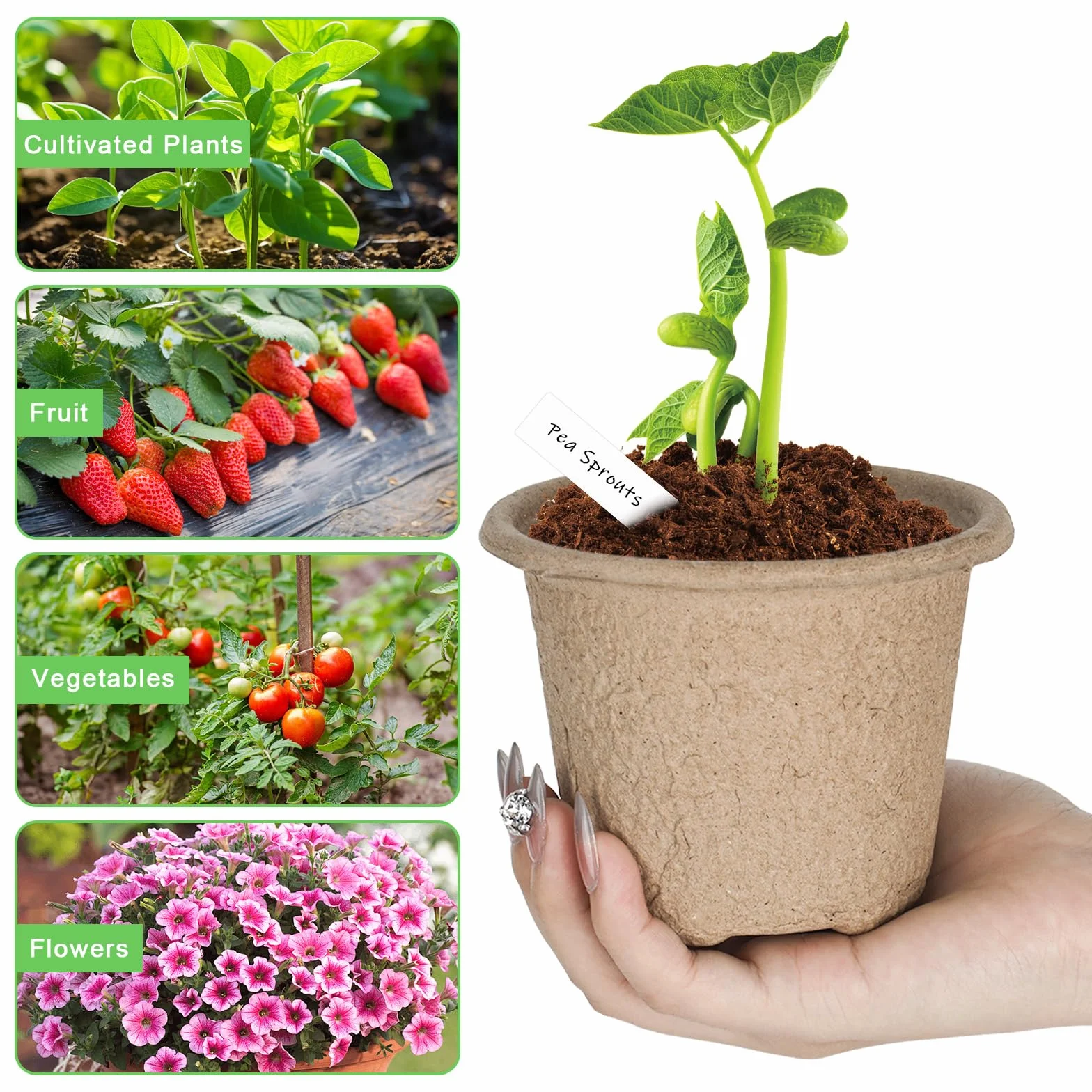 Pots de semis biodégradables Ø 11 cm lot de 20 avec étiquettes