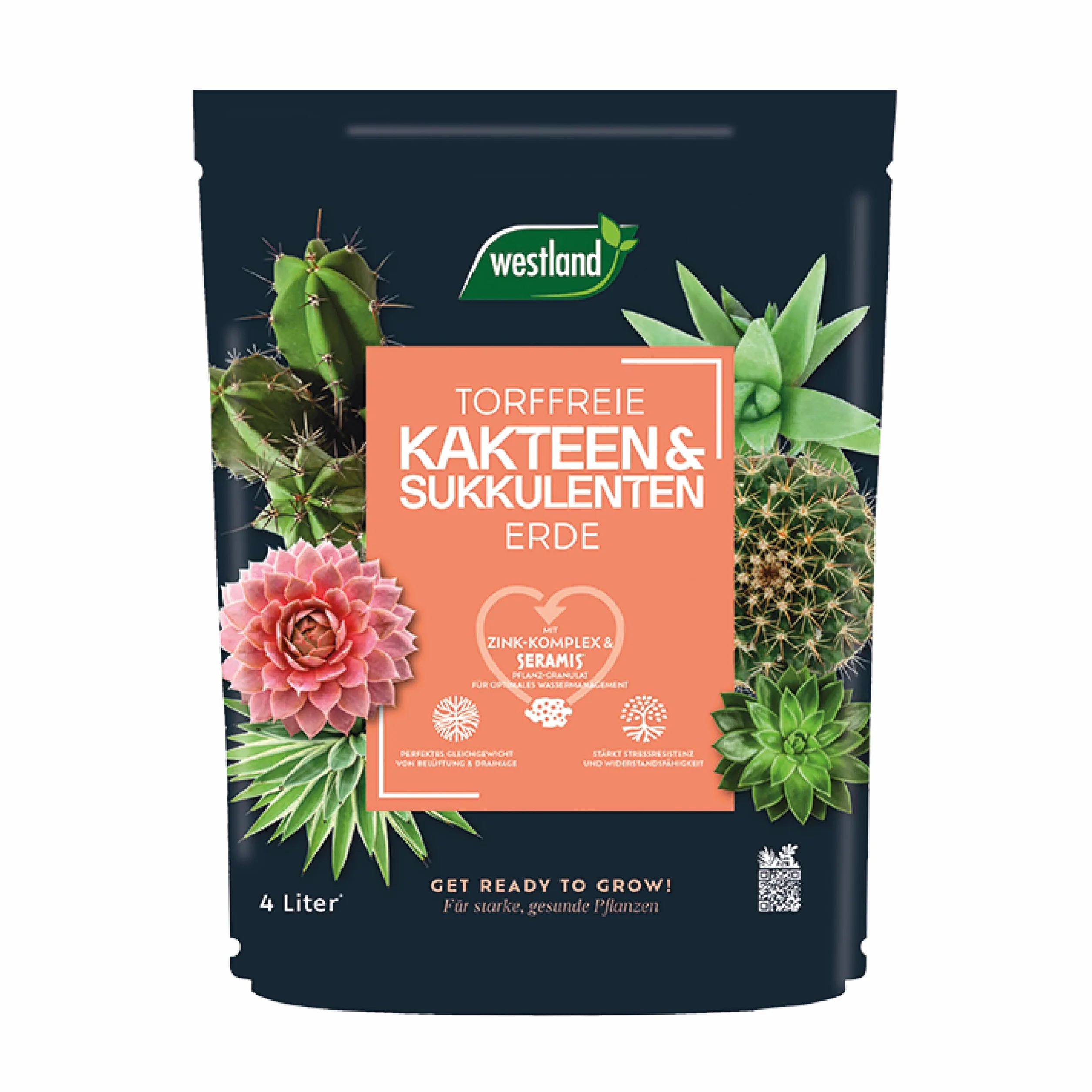 Westland terreau spécial Cactus et Plantes Grasses 4 l – Terreau avec granulés pour plantes saines
