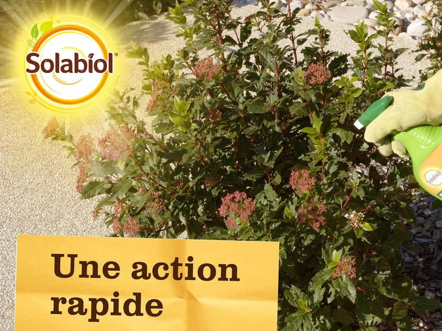 SOLABIOL Anti Pucerons Pulvérisateur 750ml Prêt À L'emploi Action Rapide