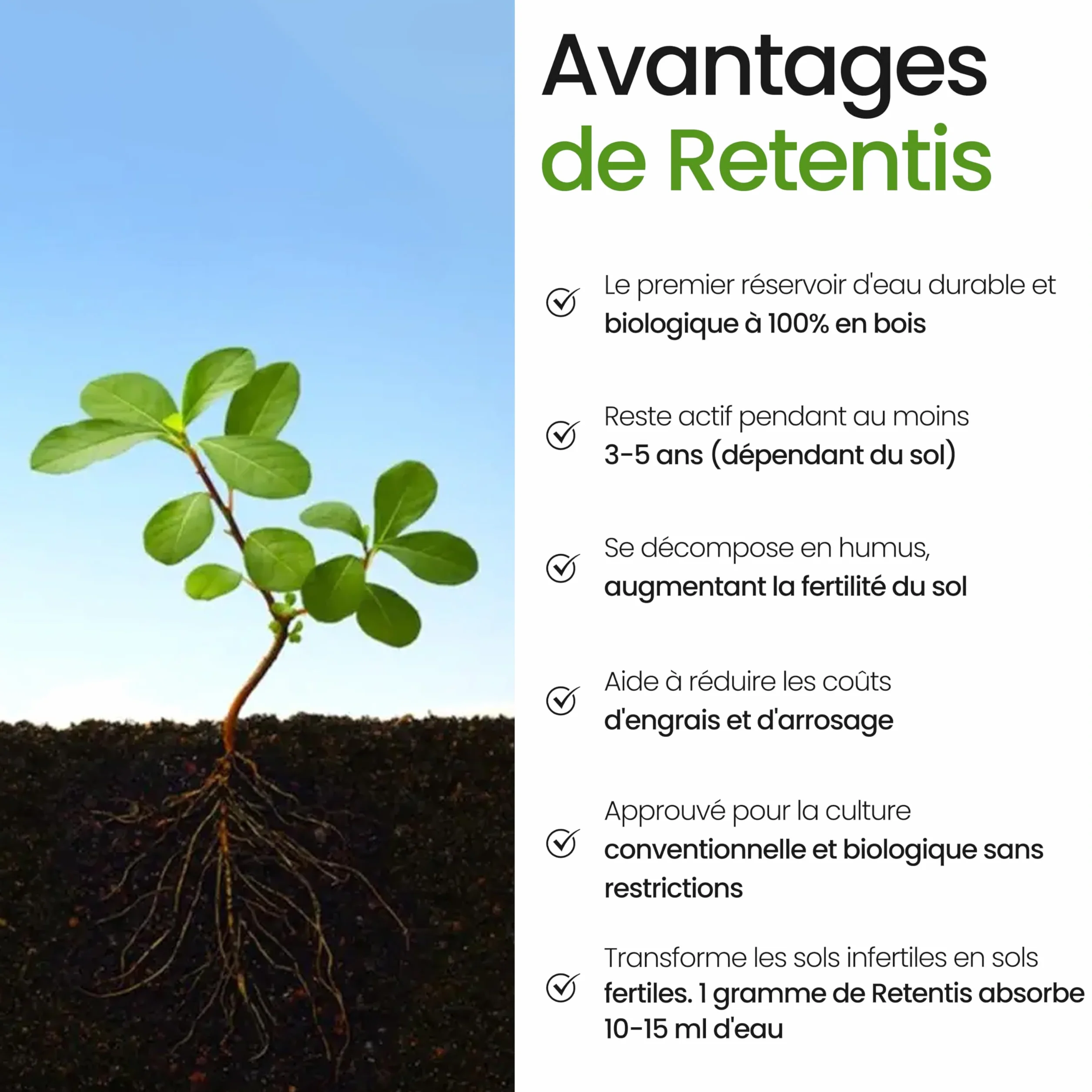 Hydrogel écologique en bois 750g pour 40L terre stockage d'eau anti-sécheresse