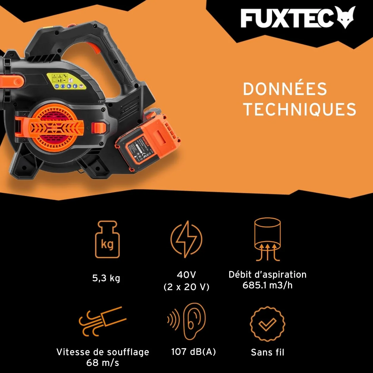 FUXTEC Souffleur aspirateur Batterie 40 V 2en1 FX-E2LBSSET avec 2 Batteries et Double Chargeur Sac de Collecte 685m³/h