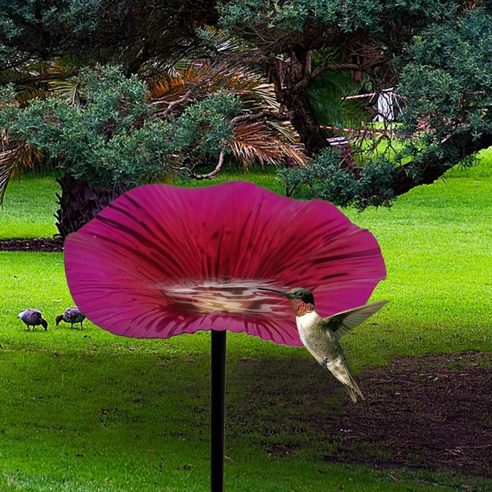 Bain d'oiseaux en fer en forme de fleur pour extérieur sur pied