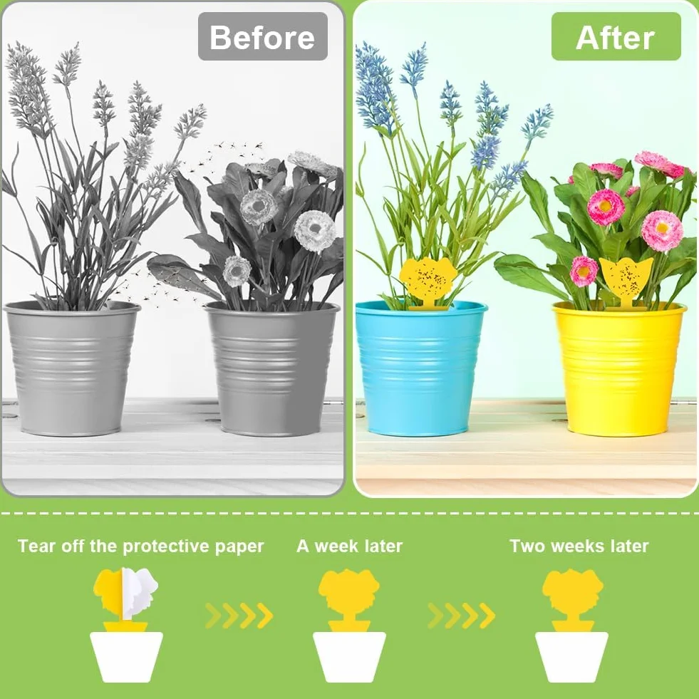 Flintronic Pièges à Insectes 120PC Attrape Moucheron Plantes Plug-in Autocollants Colle Double sans Insecticide Anti Moucheron Plante