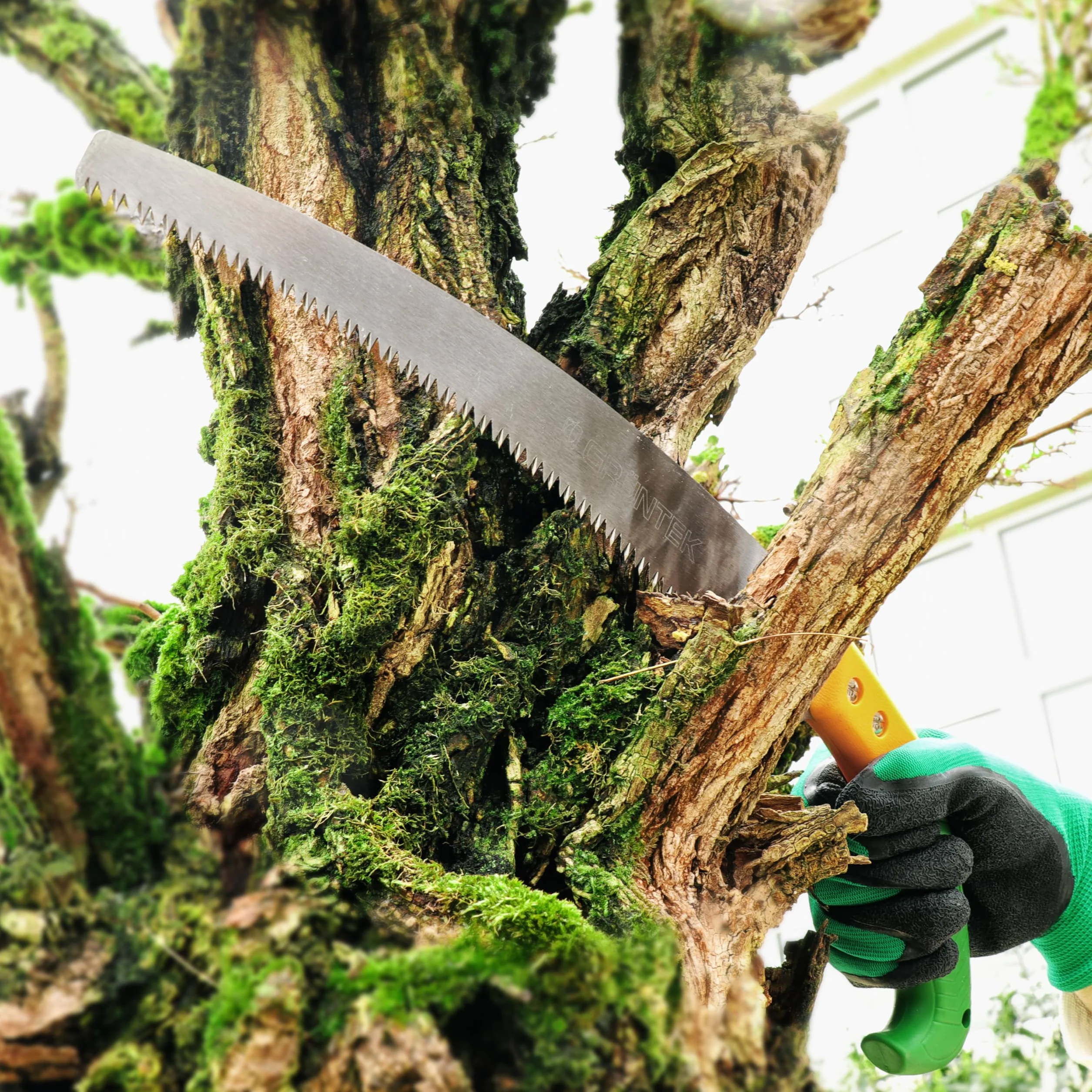 GRÜNTEK Scie d'élagage 380mm avec Lame Japonaise. Scie a main a bois Égoine. Outils de Jardinage Professionnel pour Jardin, Camping Bushcraft et Coupe de Branches
