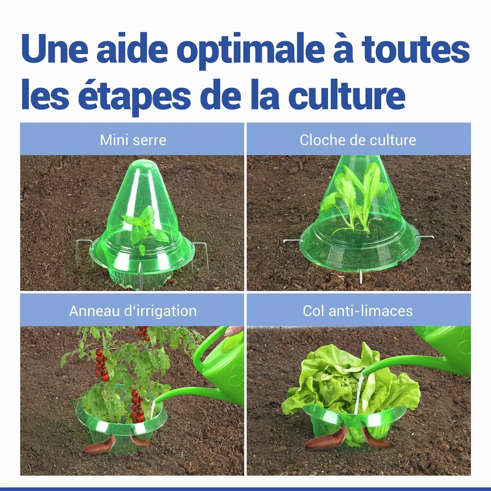 Maximex Dôme de bouturage 3en1 15 pièces Protection contre le gel oiseaux limaces jardin 3 cloches culture semis Ø 27 x 25 cm Plastique PET vert