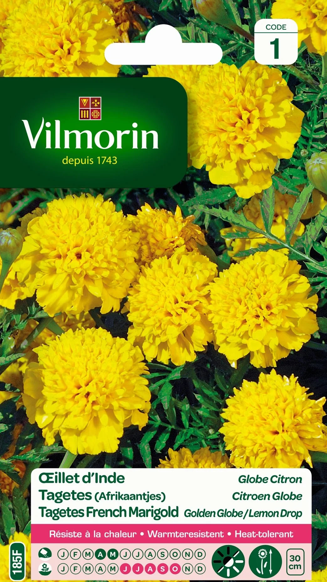 Vilmorin Œillet Jaune 90 x 2 x 160 cm