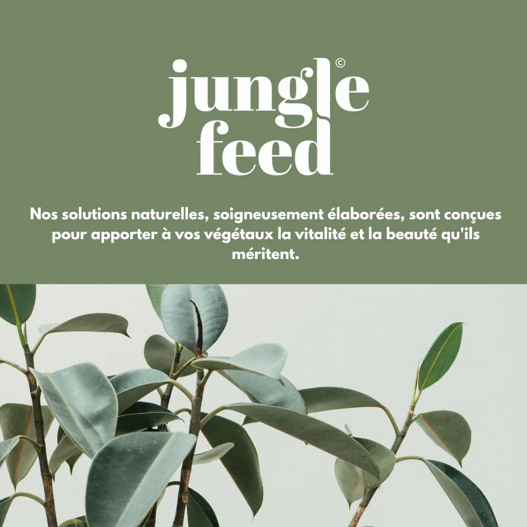 Engrais Plantes Vertes Et Rares Liquide 100% Naturel Made In France