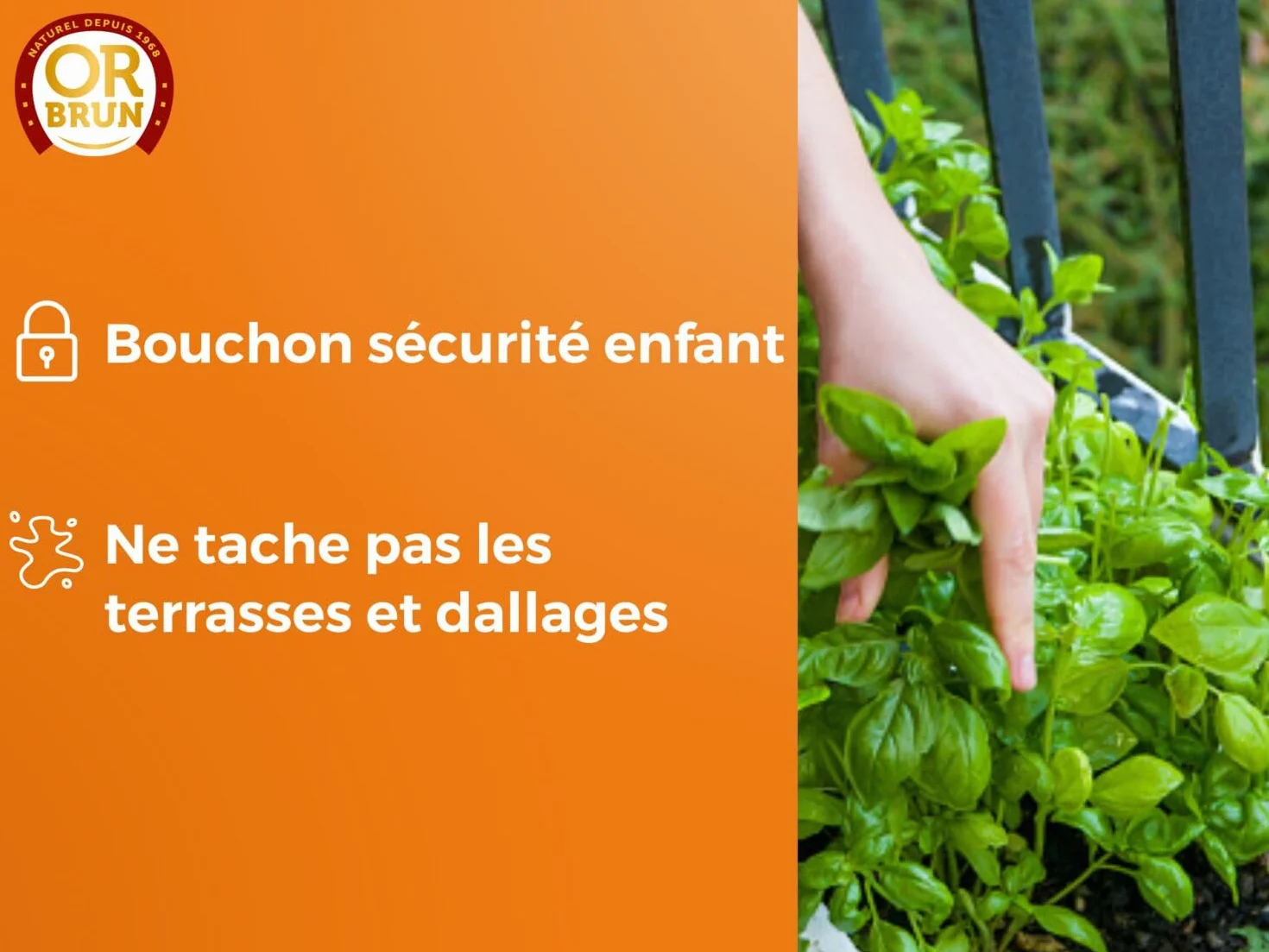 Engrais Plantes Aromatiques 250ml Utilisable en Agriculture Biologique Fabriqué en France OR BRUN