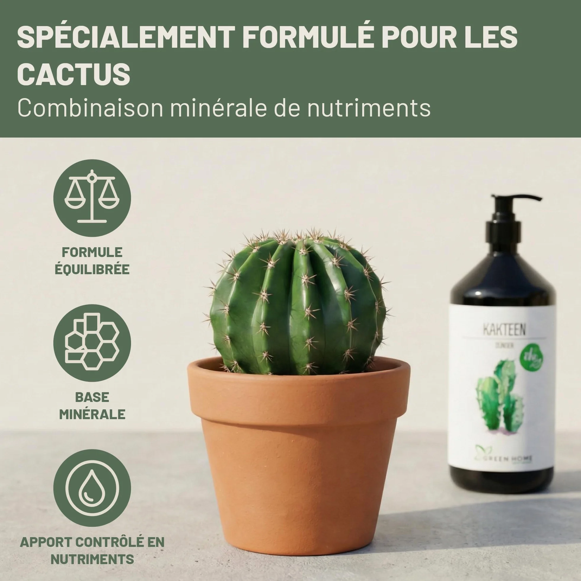 Engrais Cactus Liquide 1L Pompe Doseuse NPK 7-3-5 pour Cactus Succulentes