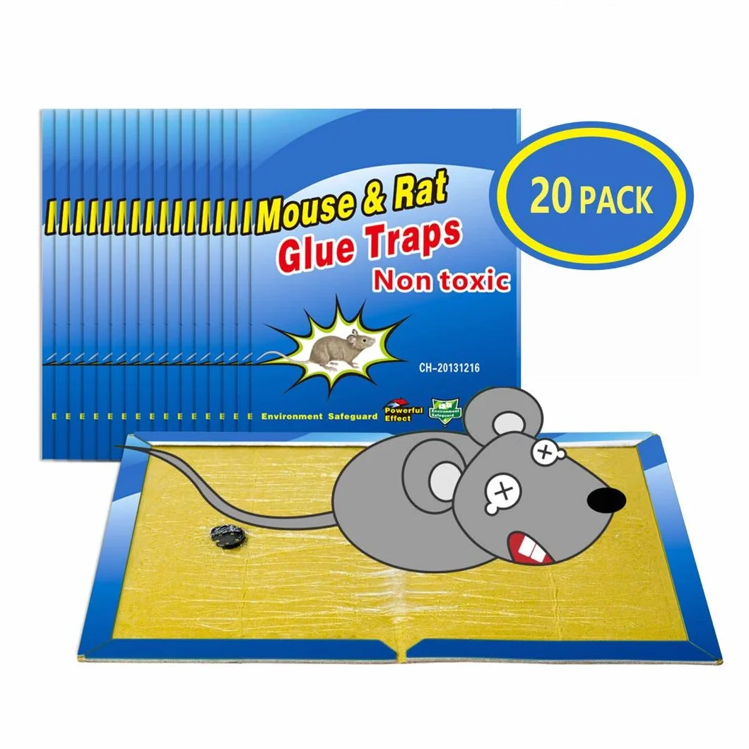 Piège à Souris Anti Rat Plaques Collantes 20 Pièces 20.2 x 30.5 cm Grande Taille