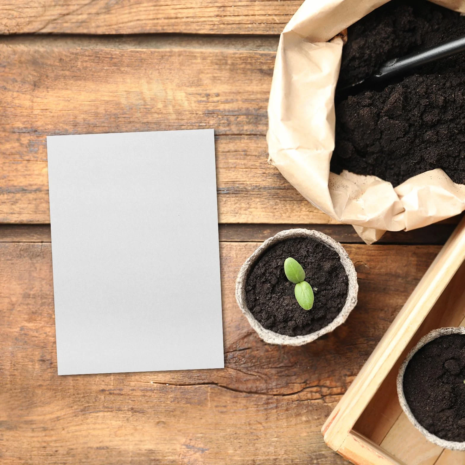 Supvox Lot de 100 Feuilles Papier Germination 19 x 27 cm Absorbant Pousses Microverts Culture Sans Terre