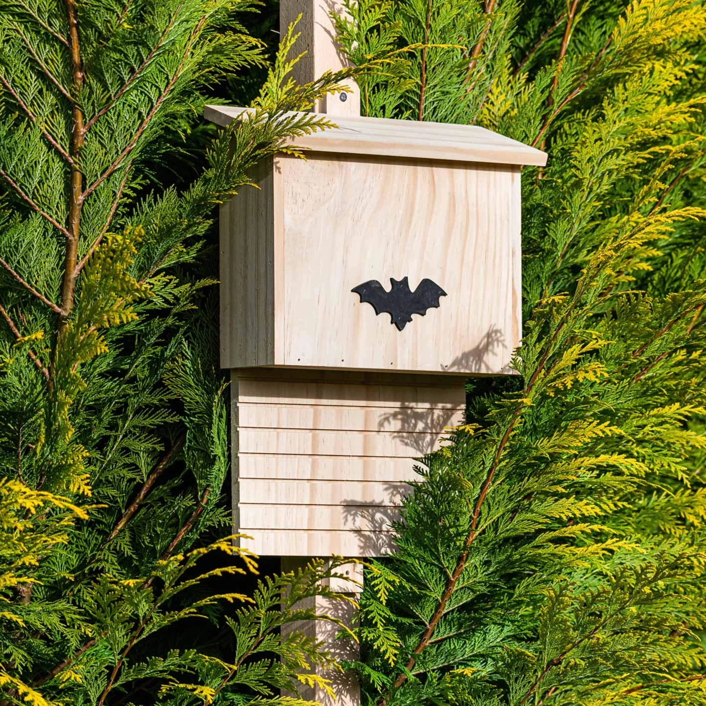 Grande boîte à chauves-souris en bois massif résistante aux intempéries - nichoir pour été et hiver