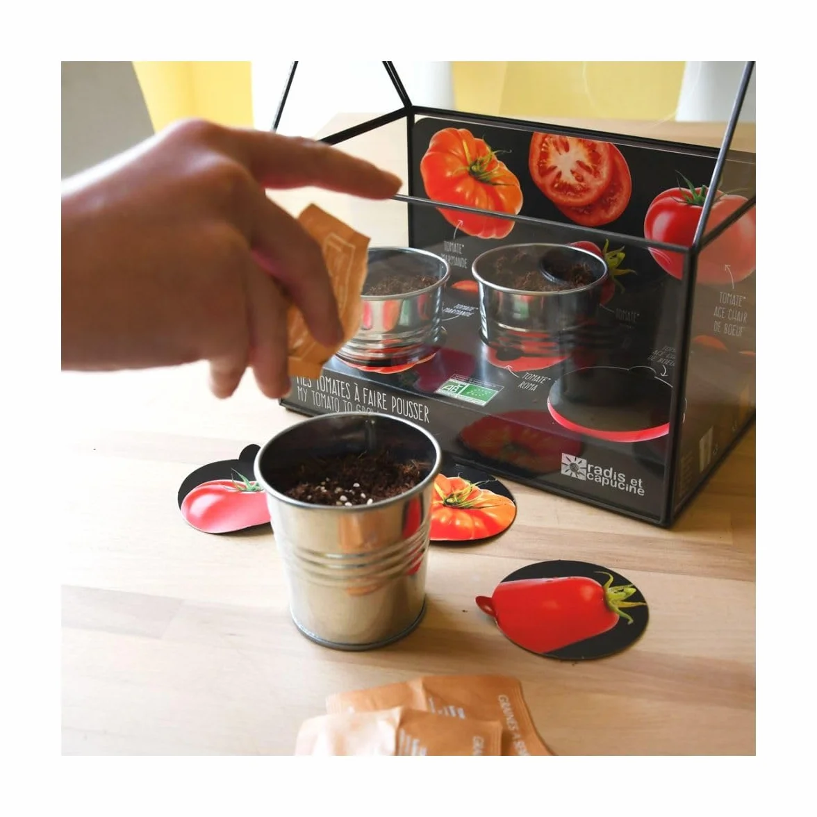 Serre avec châssis zinc noir Tomates bio 3 pots