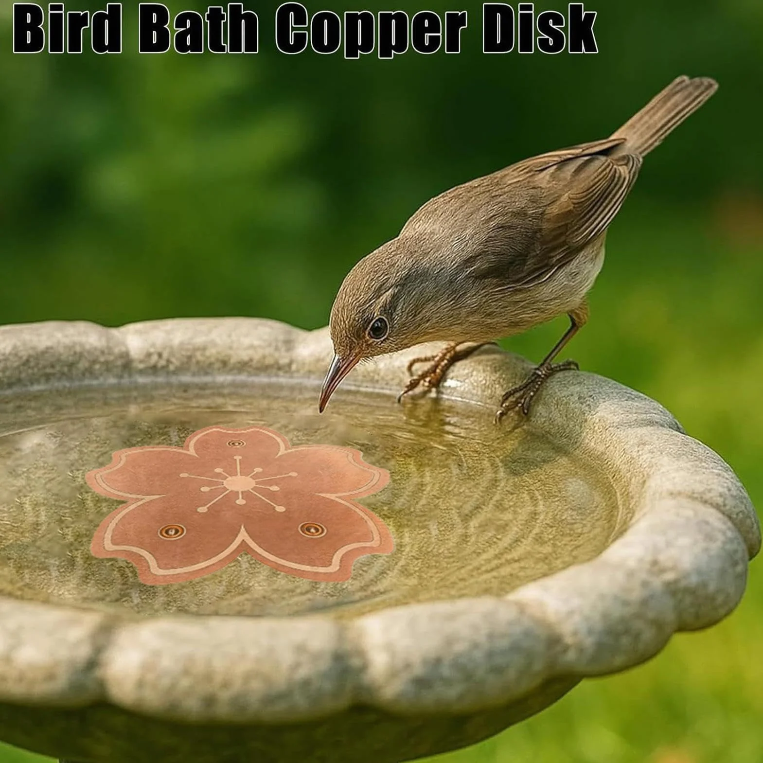 Disque Cuivre Bain Oiseaux Plaques Bronze Bassin Purificateur Eau Naturel Anti Algues Résistant Rouille Support Stable Trois Points