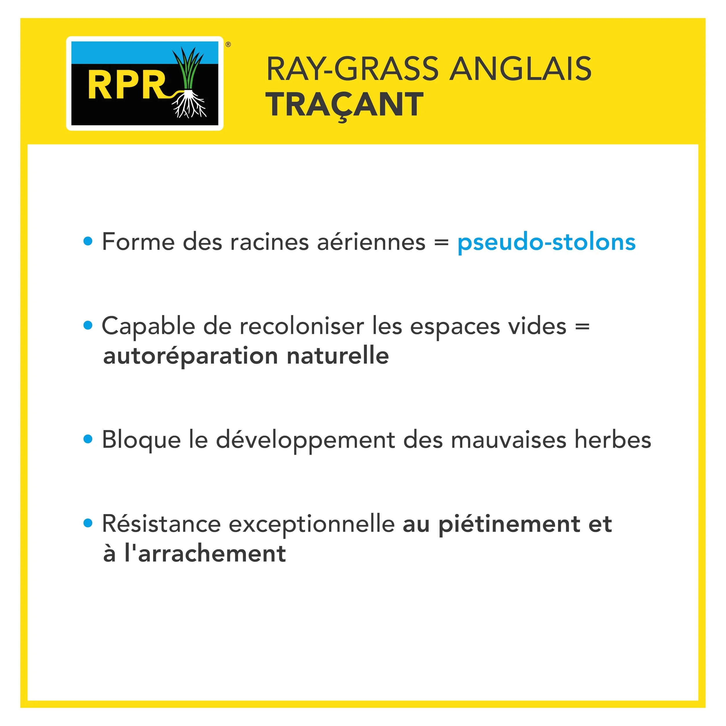 Barenbrug Gazon Implantation Rapide Germination 7 Jours Tapis Dense Résistant Autoréparation Naturelle Engrais Compatible Agriculture Biologique Fabriqué France 1KG