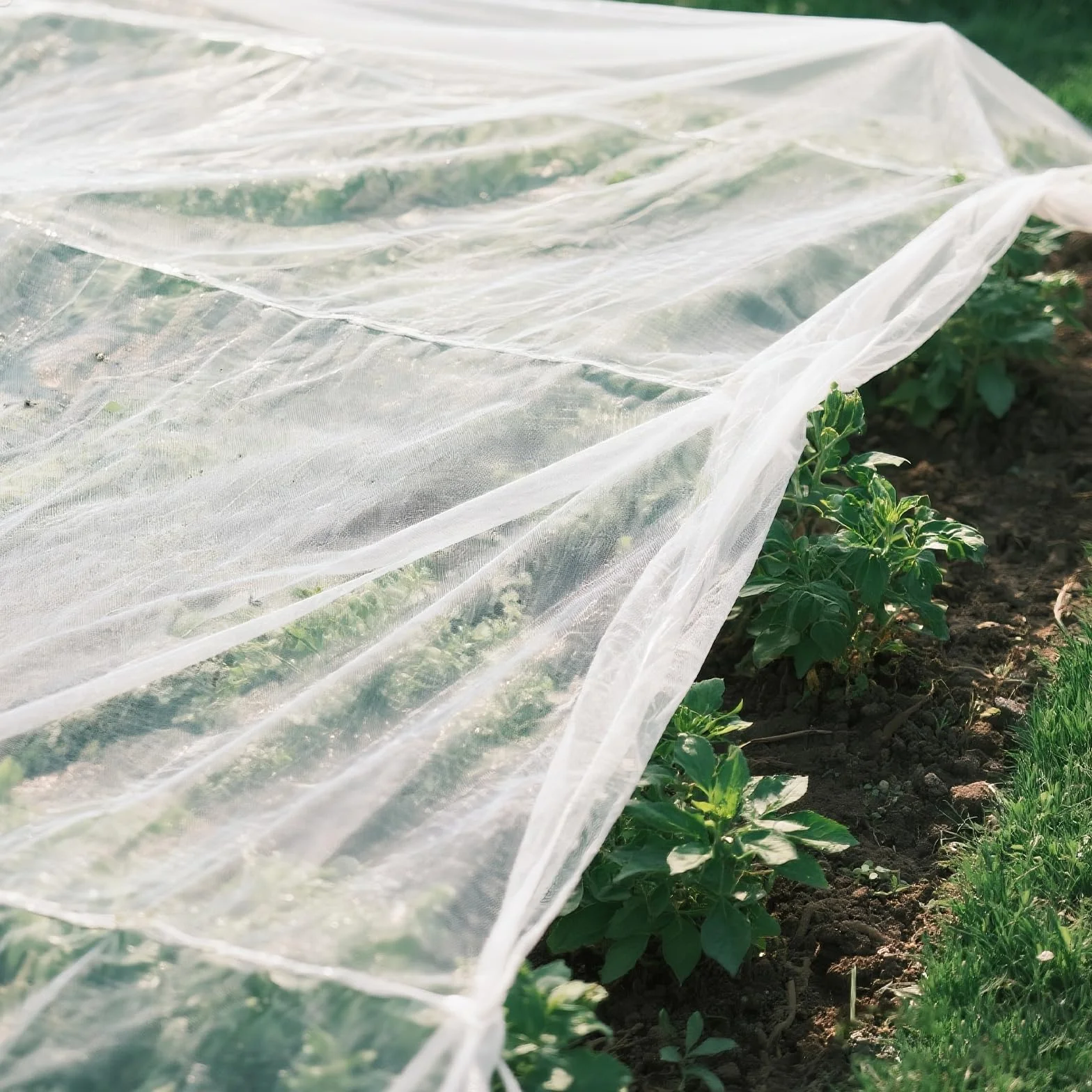 AOOWU Filet de protection pour légumes 2 x 5 m, à mailles fines, contre les oiseaux, blanc