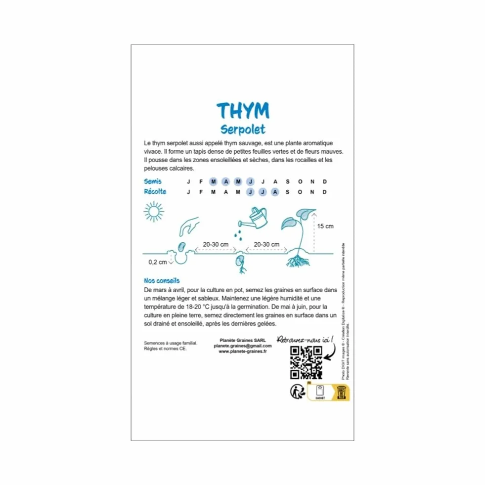 Thym rampant serpolet - Graines de fleurs rampantes vivace Couvre-sol