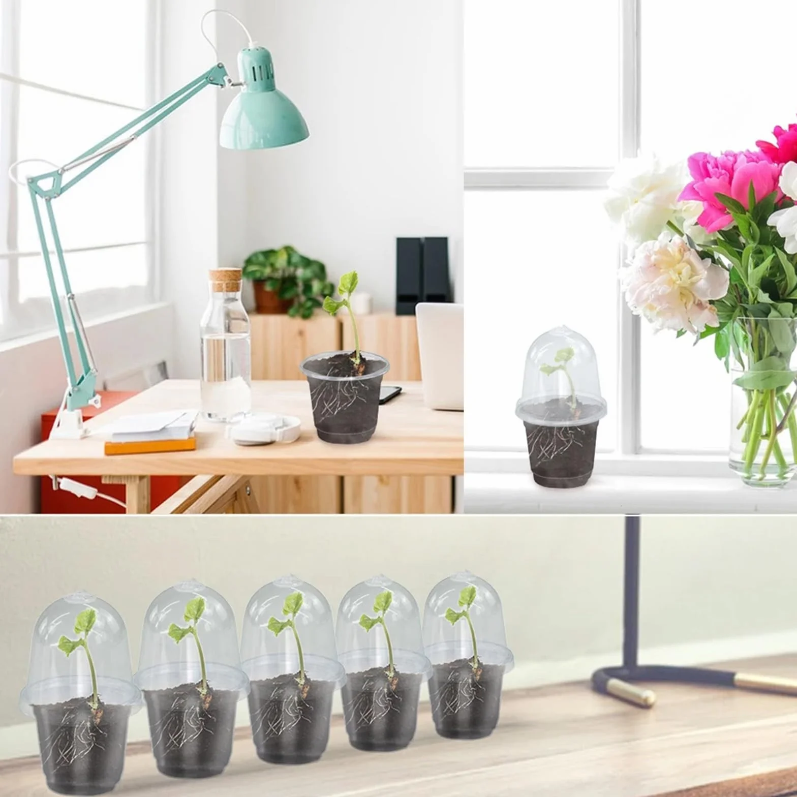 Lot de 10 Pot Plastique Plante avec Couvercle 10cm Transparent Orchidée Ronds