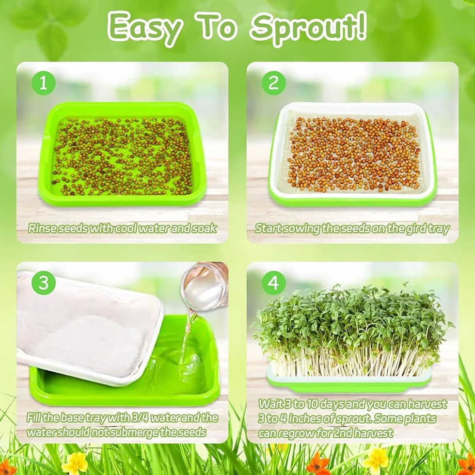 Germoir pour Graines à Germer Lot de 4 Plateau Semis 32 x 24 cm Kit Germination sans BPA