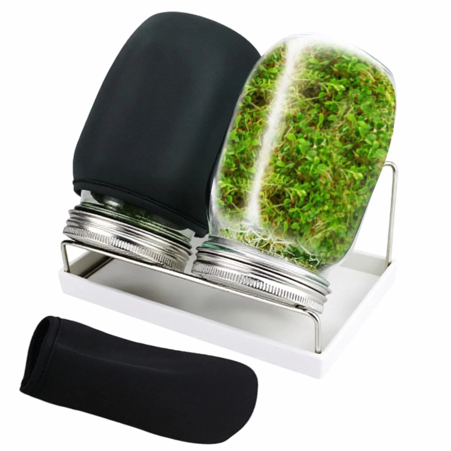 Sprouts Bocal Kit de germination acier inoxydable avec couvercle manchon occultant support