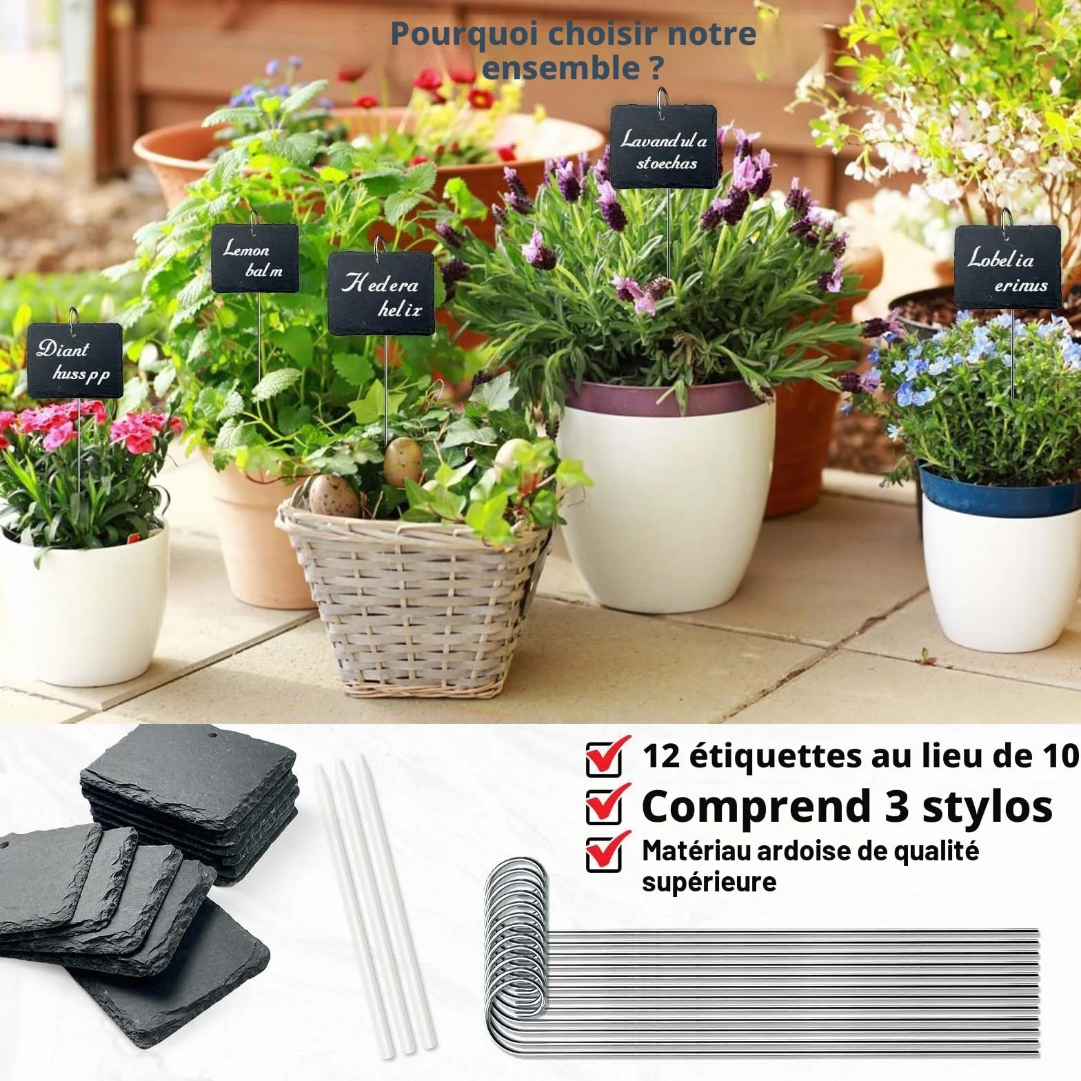 Étiquettes Plantes Ardoise Rectangulaires Lot de 12 avec Tige Métal Imperméables Extérieur Marqueurs Jardin Réutilisables Stylo Craie