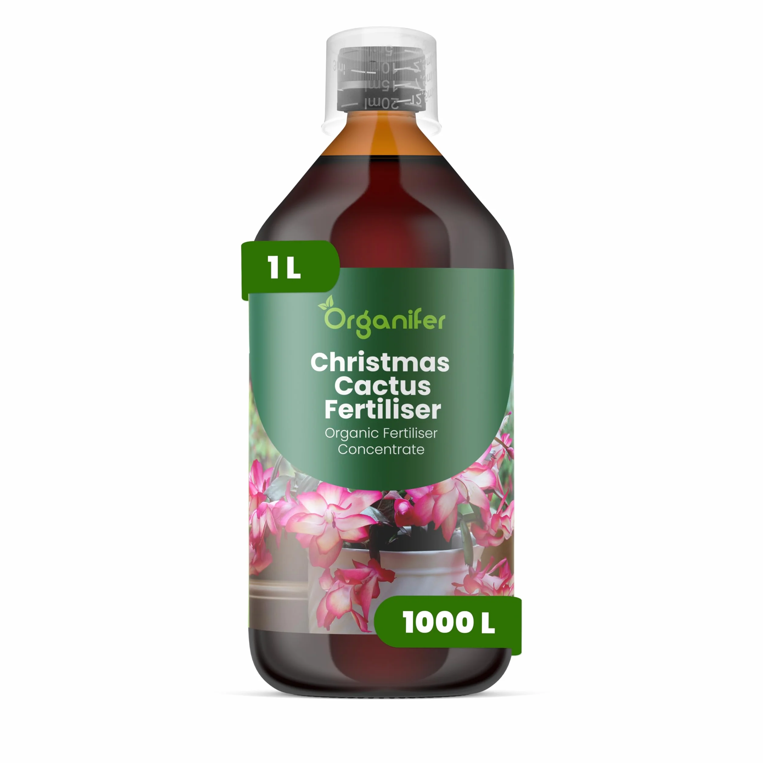 Organifer Engrais liquide organique 1L pour cactus de Noël floraison hivernale