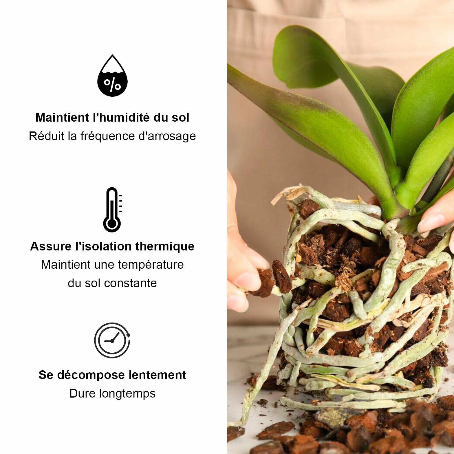 Substrat écorce de pin Maritime pour orchidées 5-15 mm Agriculture Biologique
