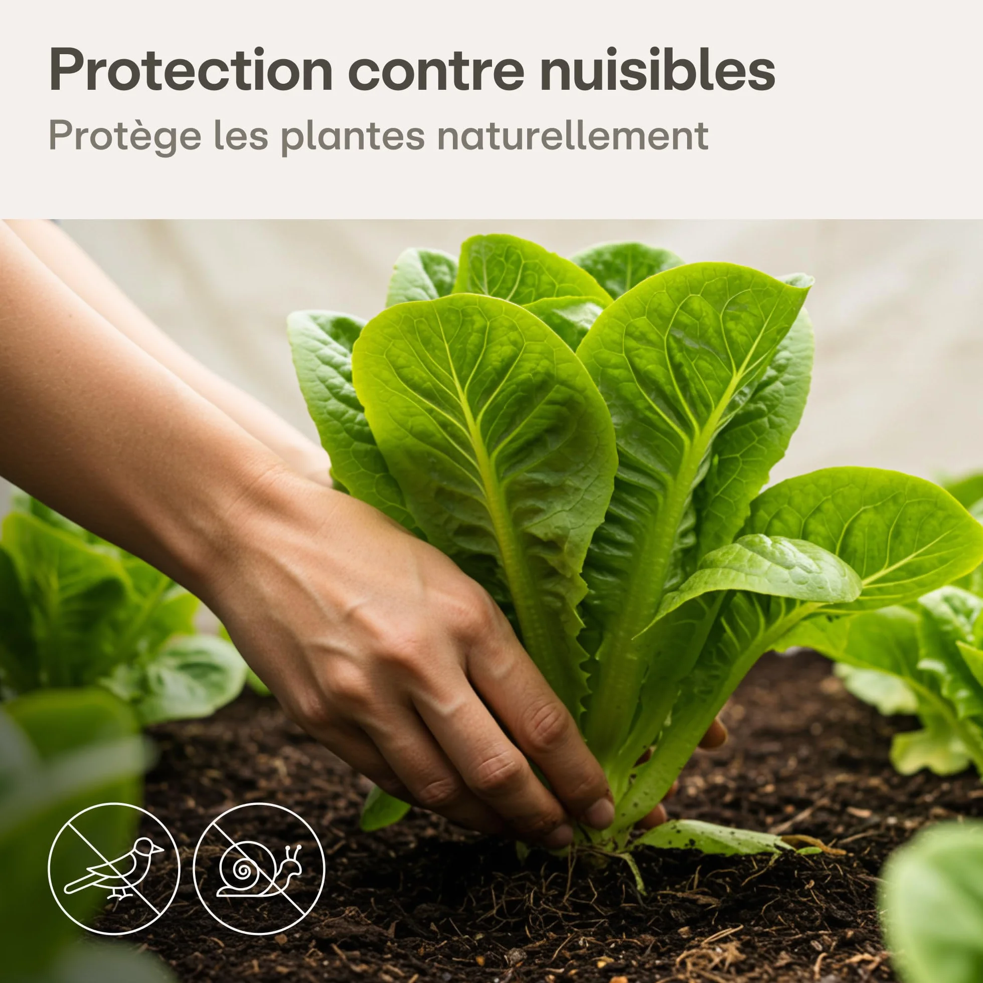 Voile d'Hivernage pour Plantes 17g/m² 20m² (2x10m) Protection Contre le Gel Respirant Perméable à l'Eau Stabilisé aux UV
