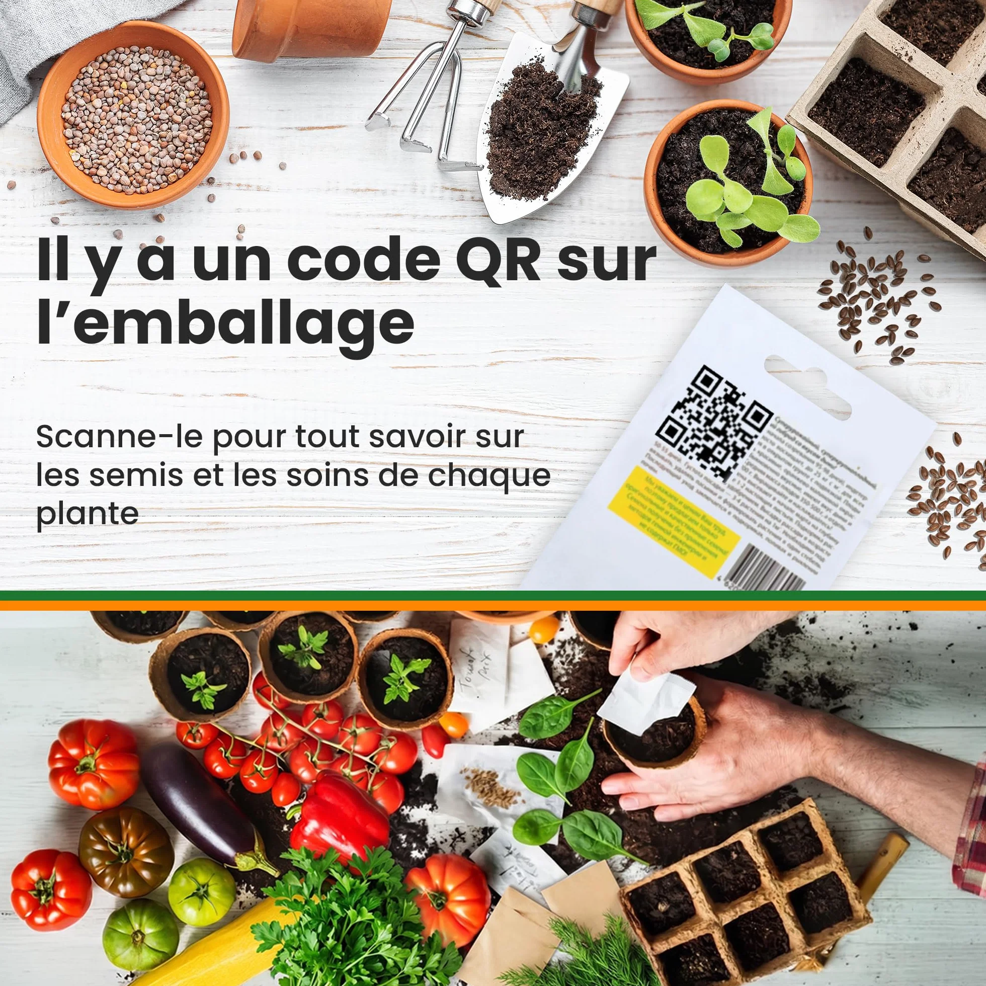 Kit de Graines de Légumes 15 Variétés – Tomate, Concombre, Carotte, Poivron, Courgette, Radis