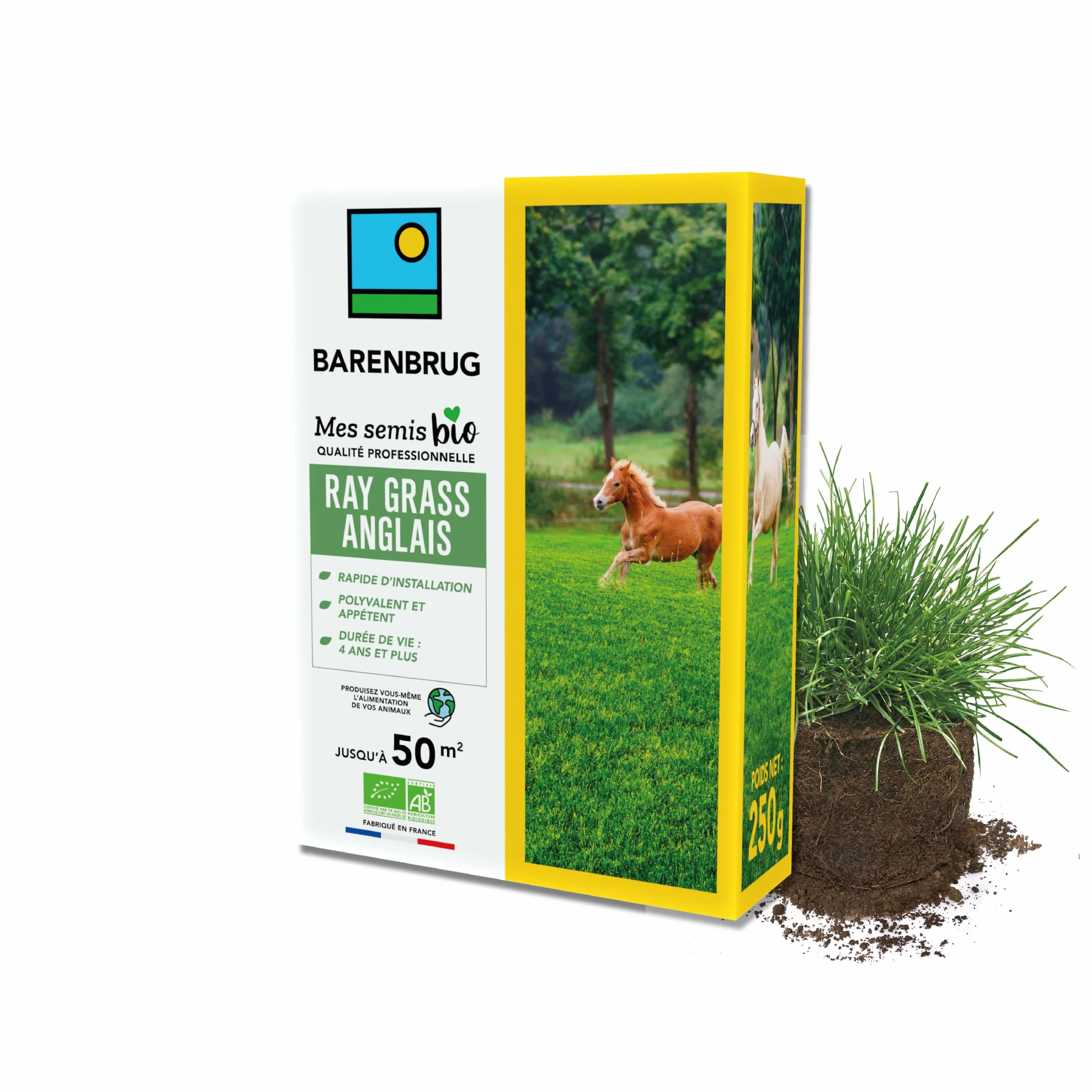 BARENBRUG Ray-grass anglais BIO 250G Fabriqué en France Durée de Vie 4 ans+