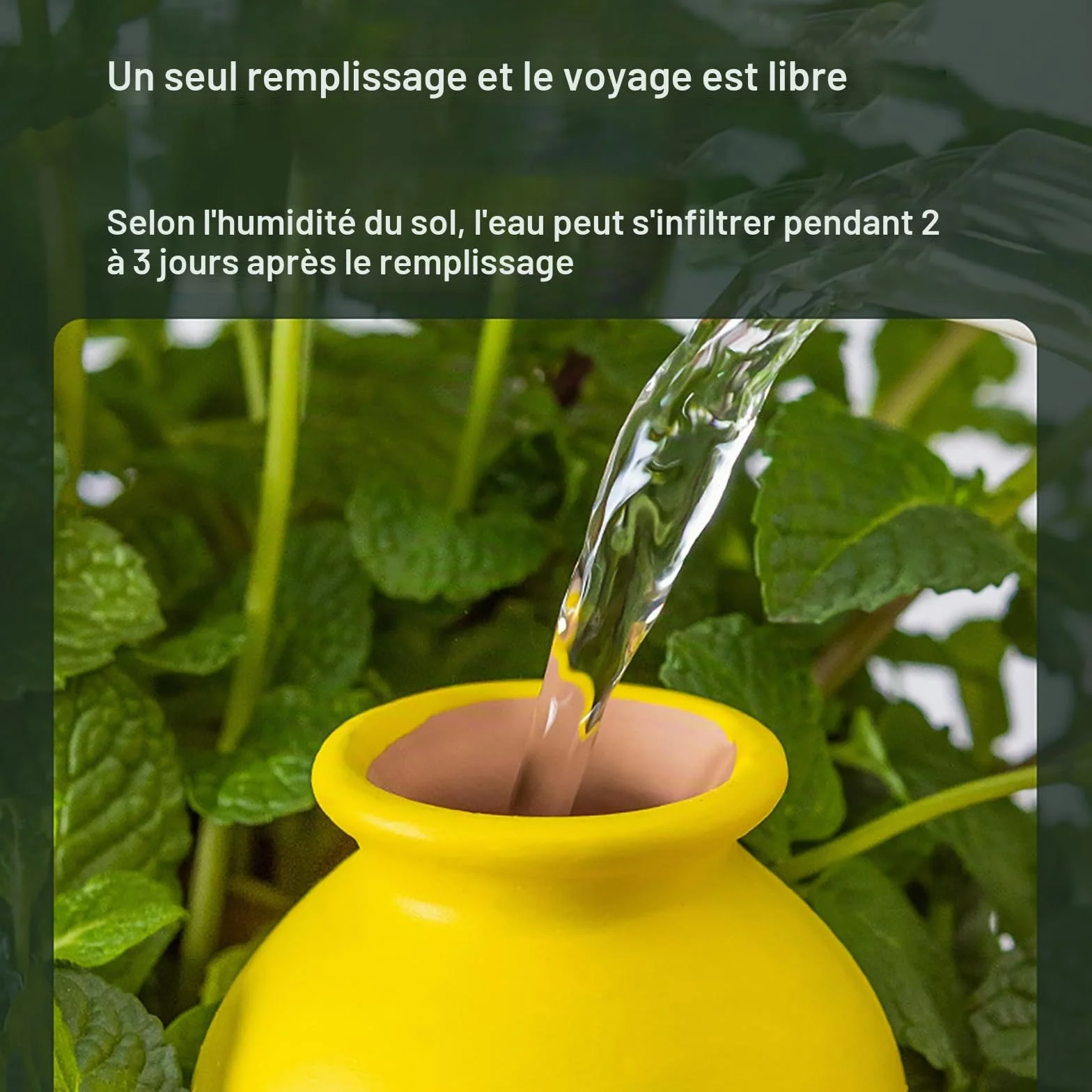 RoseFlower Oyas Terre Cuite Arrosage Automatique Plante Intérieur Extérieur 100ml