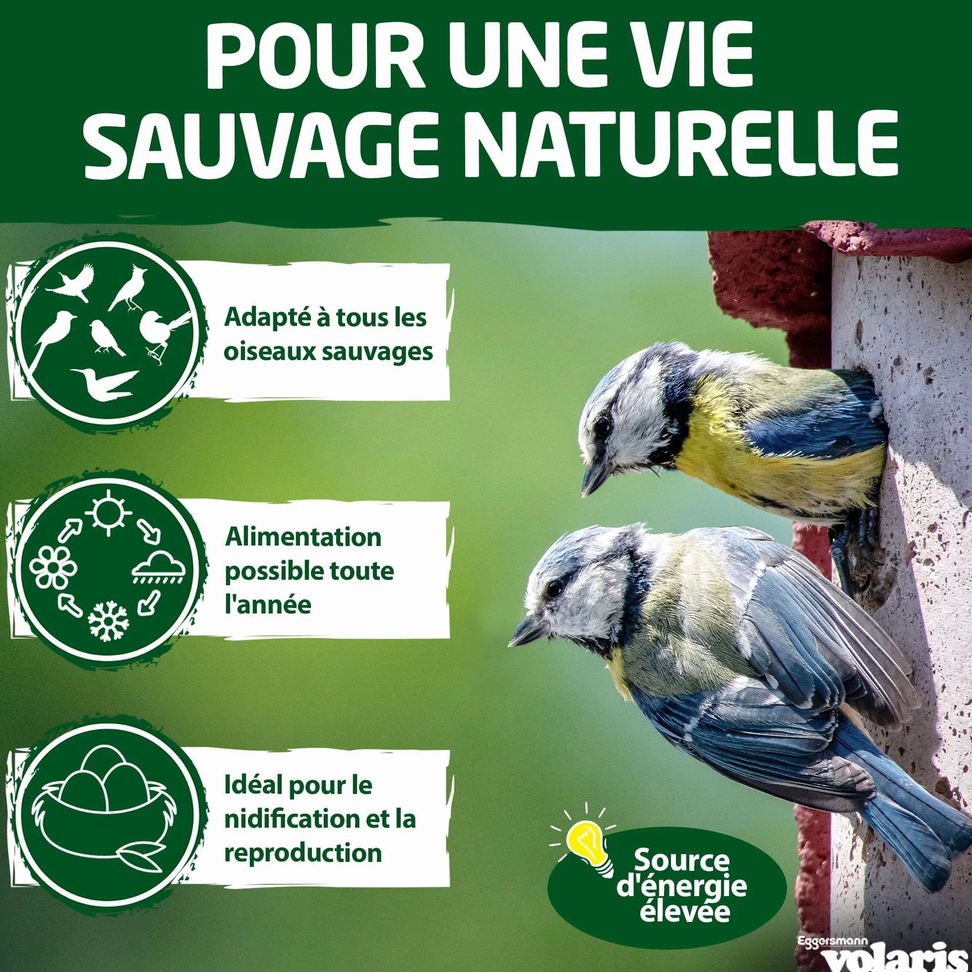 Eggersmann Volaris Boules de Graisse sans Filet 9 kg Lot de 100 pour Oiseaux Sauvages