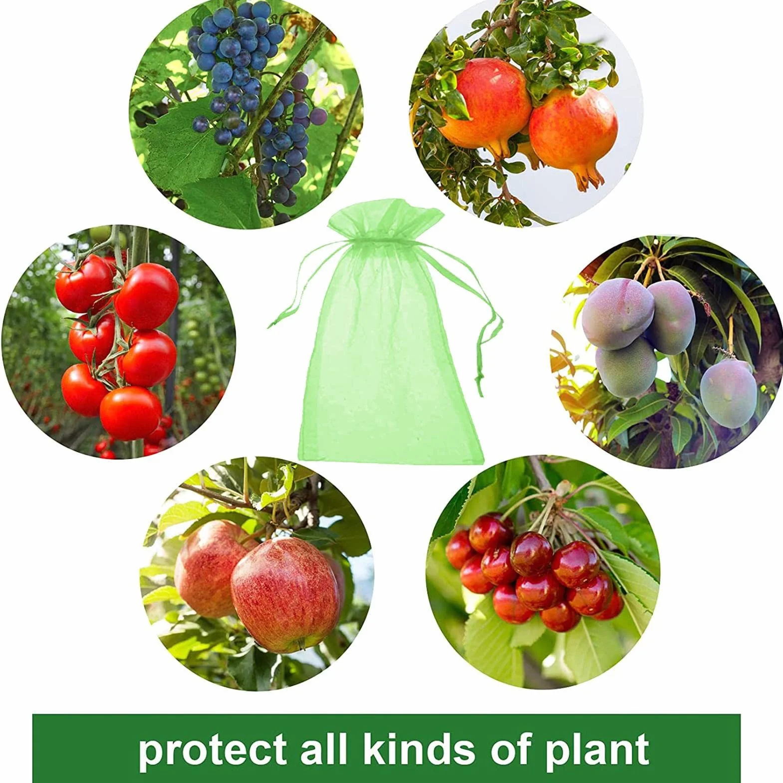 Filets Protection Fruits 100 Sacs 15x20 cm Cordon Serrage Anti-Oiseaux Guêpes Drosophile
