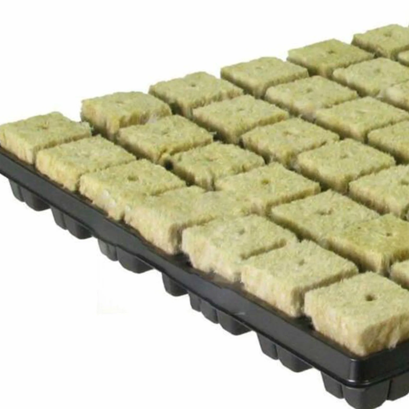 Cubes en laine de roche 25 x 25 x 40 mm, lot de 100 pour culture de plantes