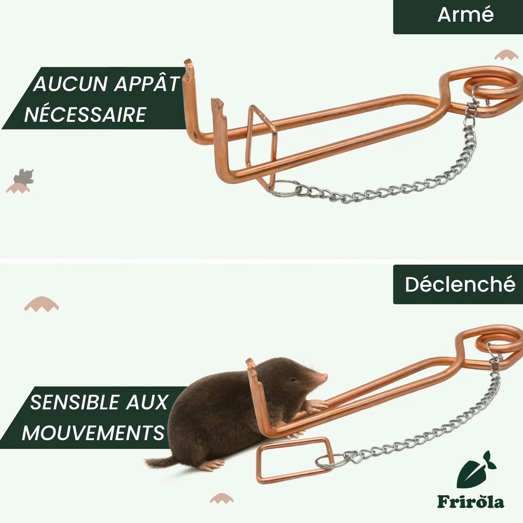 Piège à Taupe Putange avec Pince Améliorée - Lot de 4 - Acier Cuivré - Professionnel Efficace