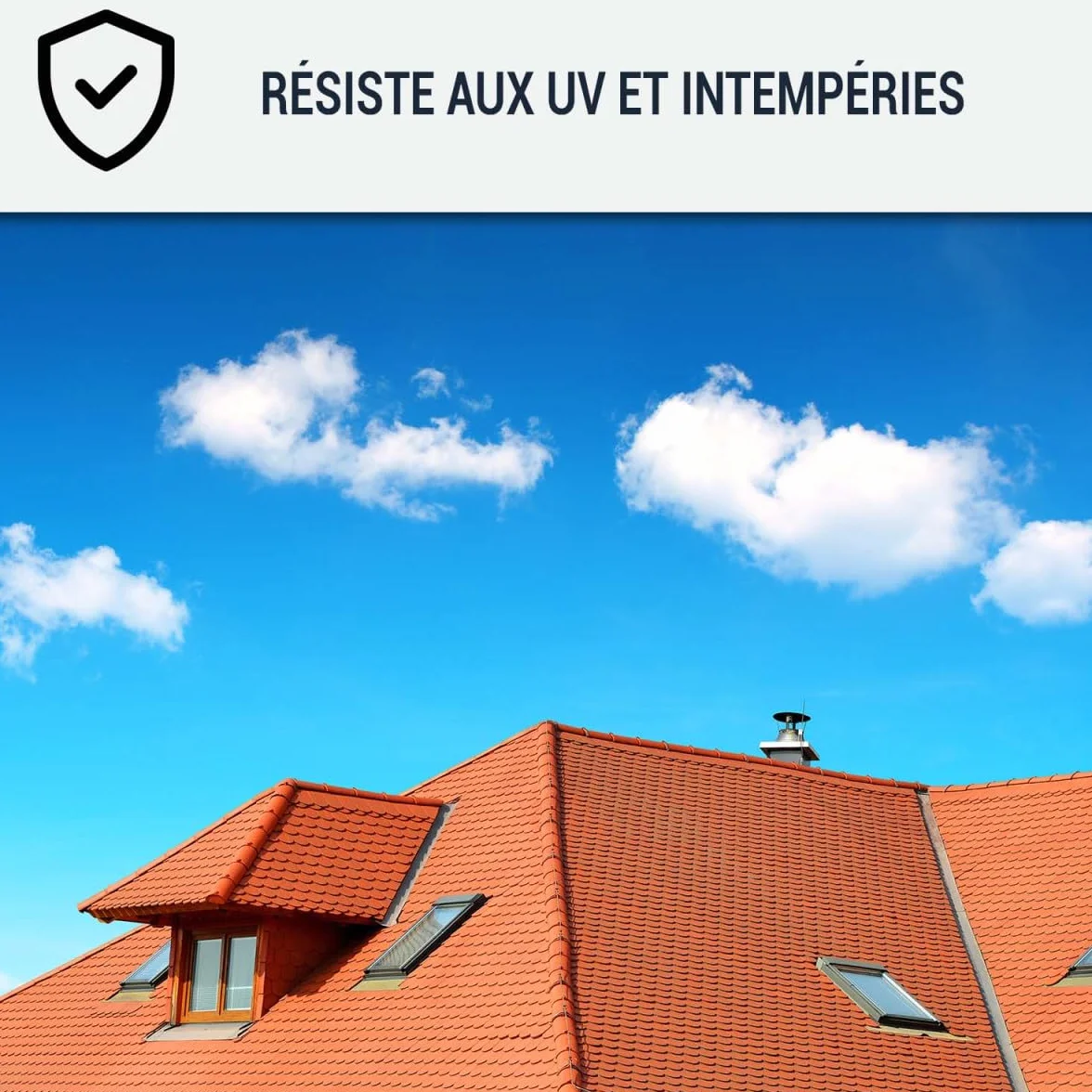 ARCANE INDUSTRIES Peinture toiture, tuile, ciment et terre cuite - 10 L Brun Orangé - RAL 8023