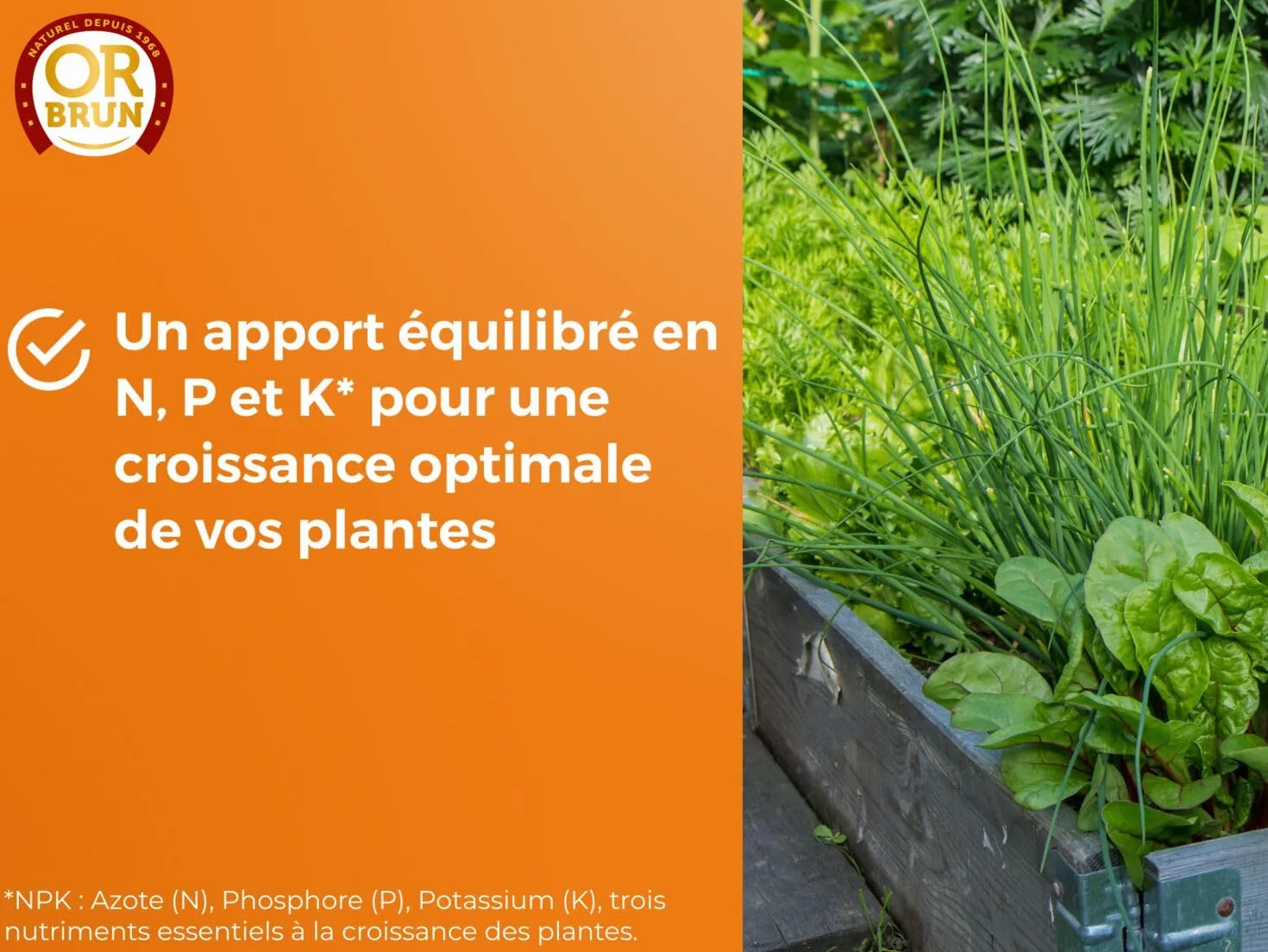 Engrais Plantes Aromatiques 250ml Utilisable en Agriculture Biologique Fabriqué en France OR BRUN