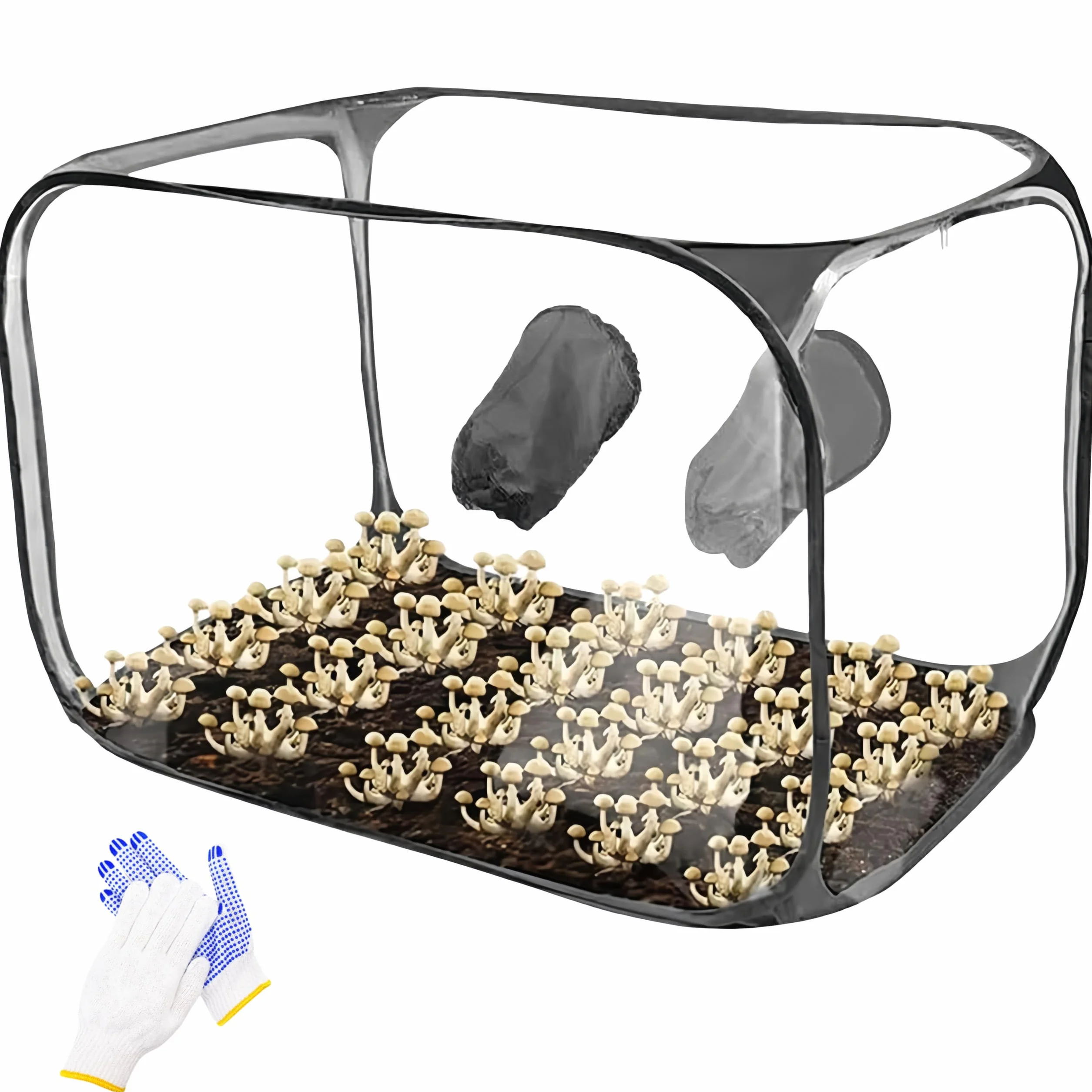 Kit de culture de champignons pliable, Still Air Box 85x52x52 cm tente transparente pop-up portable
