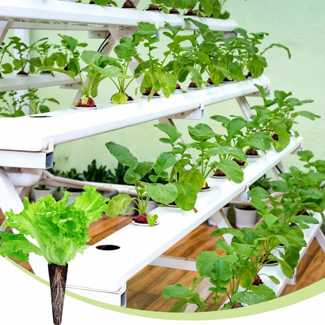Éponges de culture rechange 20 pièces pour système hydroponique, croissance racines jardin intérieur