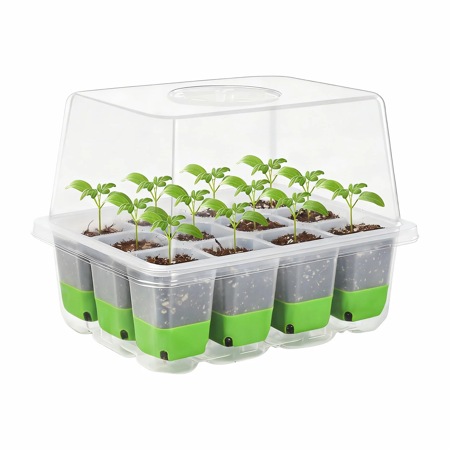 Kit de plateau de démarrage en silicone réutilisable 18,5 x 14,5 cm pour tomates légumes orchidées