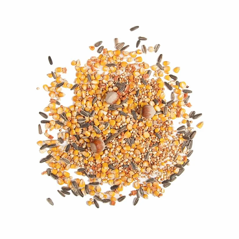 Esschert Nourriture pour écureuil 800 GR