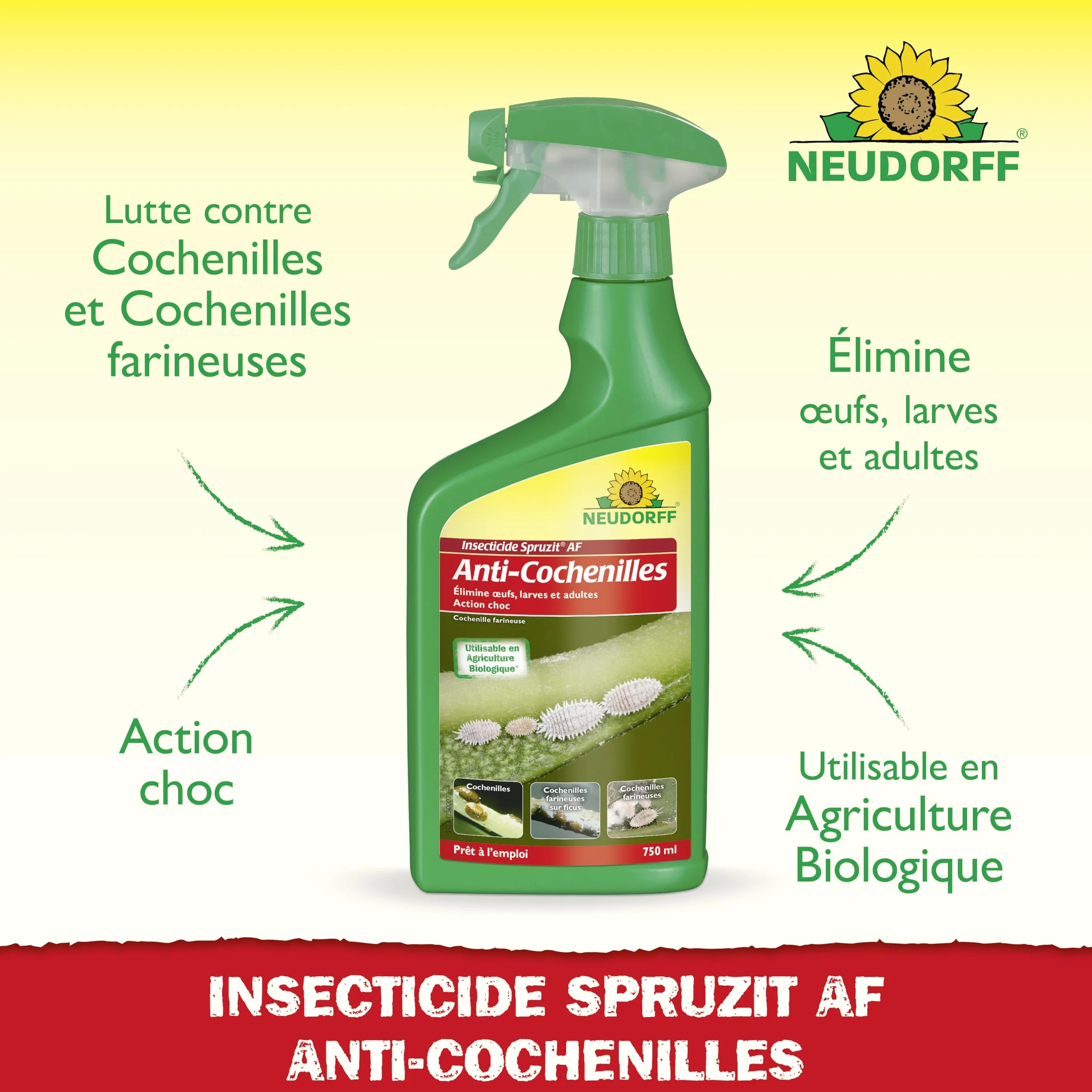 Neudorff Insecticide Spruzit Anti cochenille AF Spray 750 ml – Traite les cochenilles et pucerons sur plantes ornementales et fleurs
